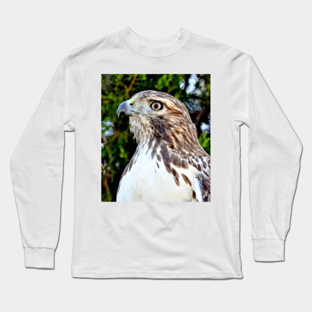 Red Tailed Hawk Long Sleeve T-Shirt by Scubagirlamy